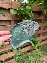 Image 3 of ginkgo tray