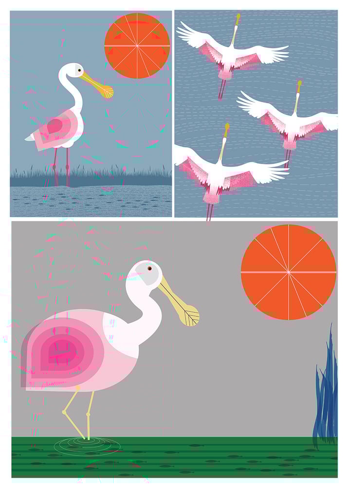 Image of Roseate Spoonbill - The National Aviary Maker Challenge Products