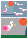 Roseate Spoonbill - The National Aviary Maker Challenge Products