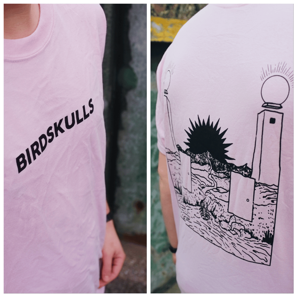 Image of BIRDSKULLS S/T PINK SHIRT