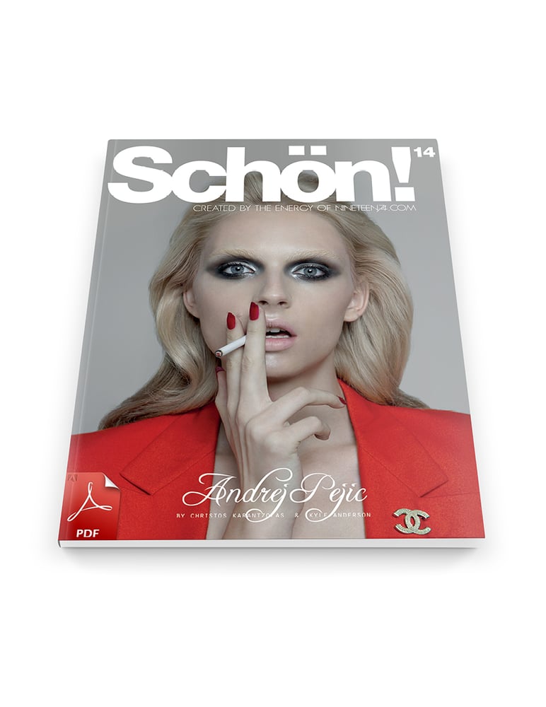Image of Schön! 14 Andrej Pejic / eBook download