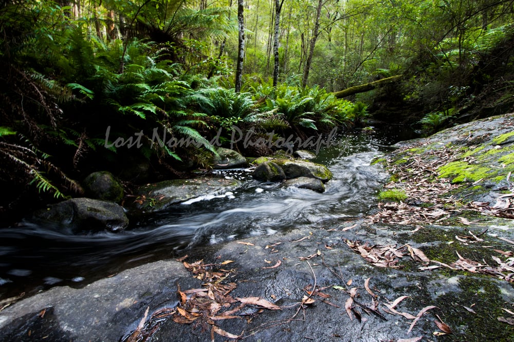 Image of Flowing Stream