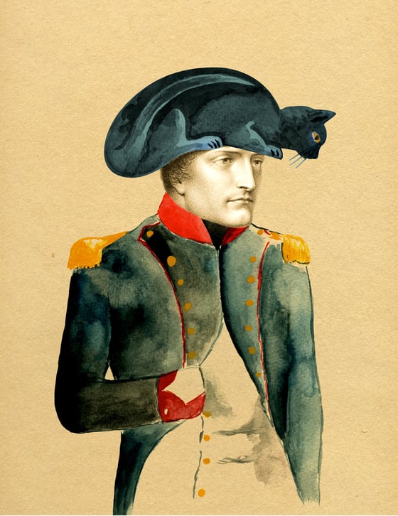 Image of Napoleon Bonaparte's Fear of Black Cats