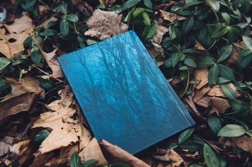 Image of Night Woods Journal