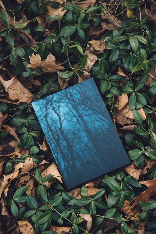 Image of Night Woods Journal