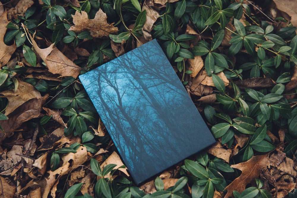 Image of Night Woods Journal