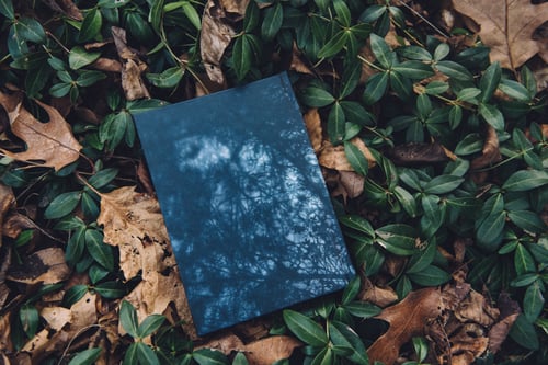 Image of Night Dream Journal