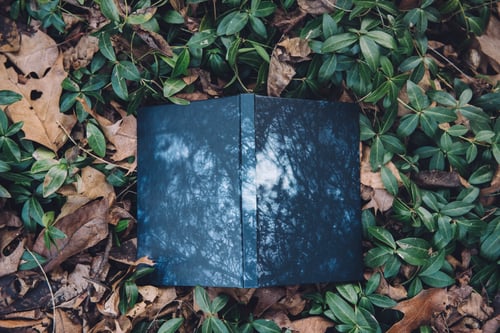 Image of Night Dream Journal