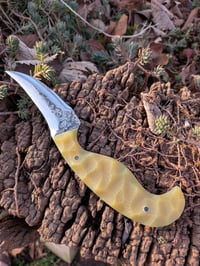 Image 2 of LAGER GEN2 DRAUG