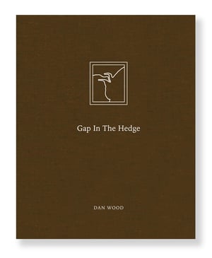 Dan Wood - Gap In The Hedge