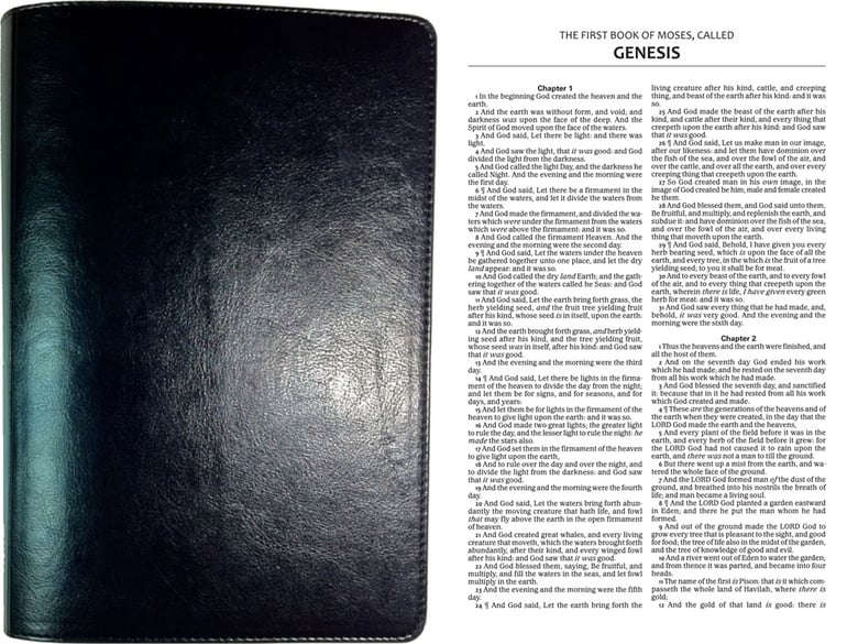 Image of Waterproof KJV Bible with Black Imitation Leather Cover (Old & New Testament)