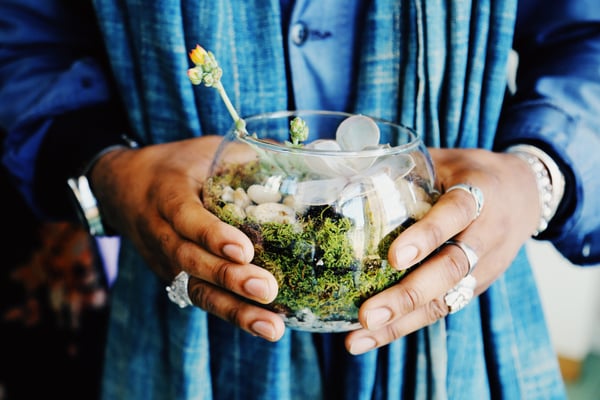 Image of Succulent Terrariums at Dacha