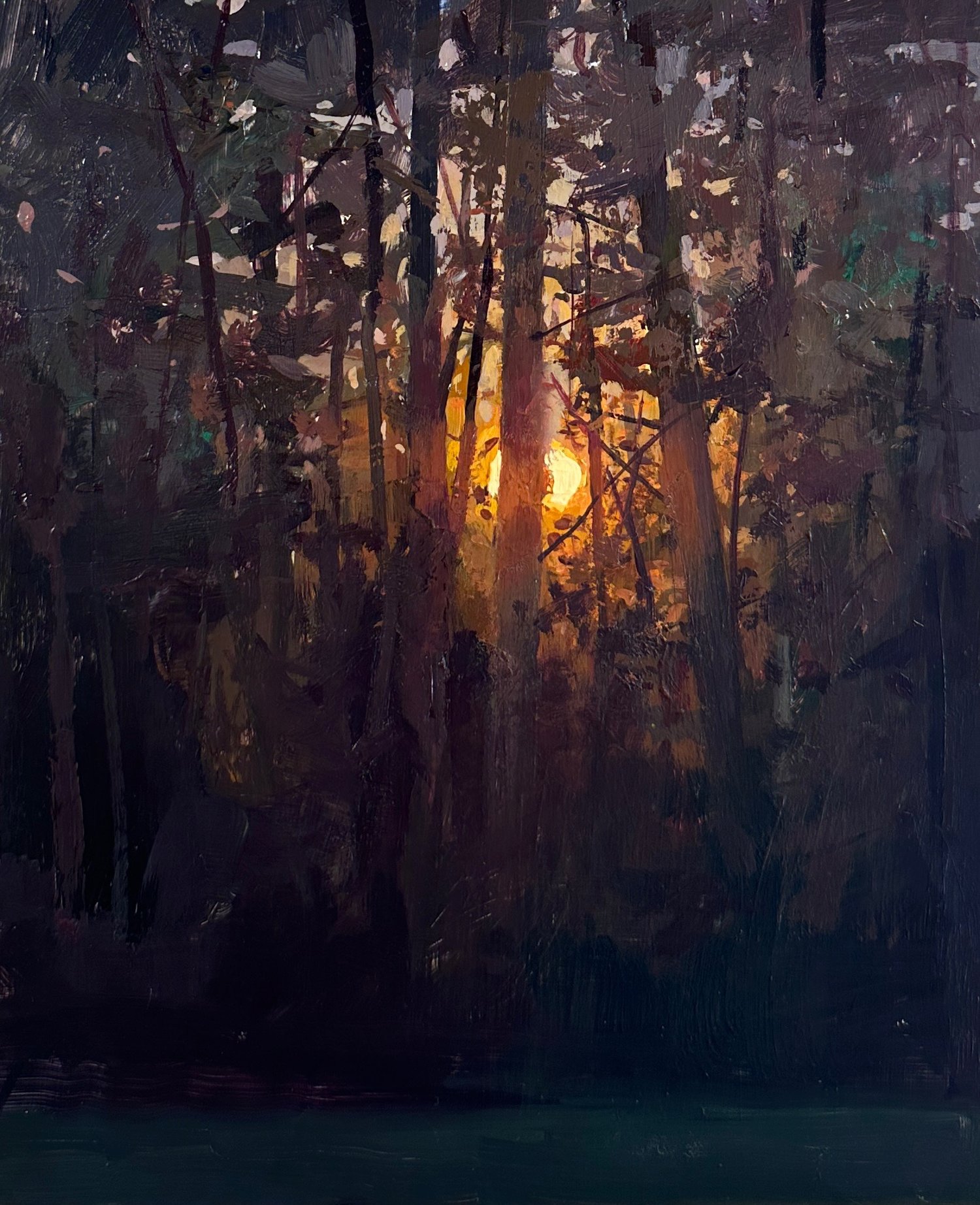 Image of Sunrise Through Wolf Pines