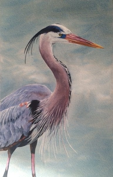 Image of Blue Heron original & gicleé 