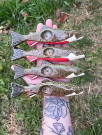 Image 1 of Brook Trout