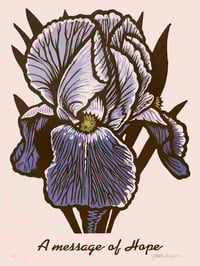 Iris