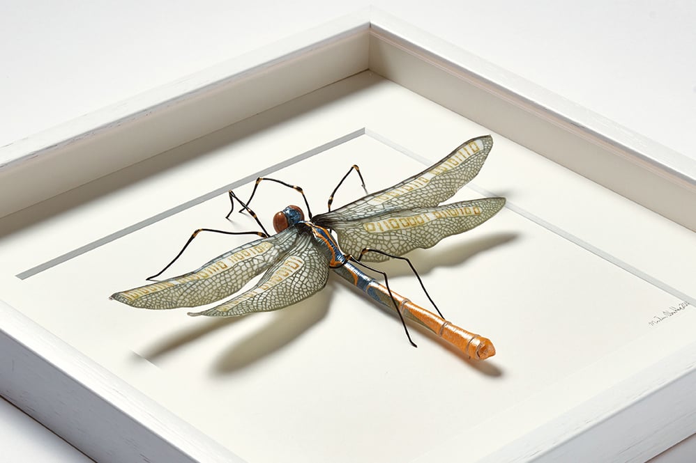 Image of Dragonfly. Time Steals