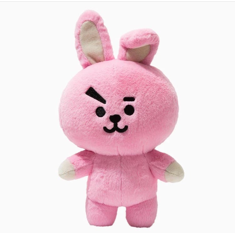 bt21 plush cooky