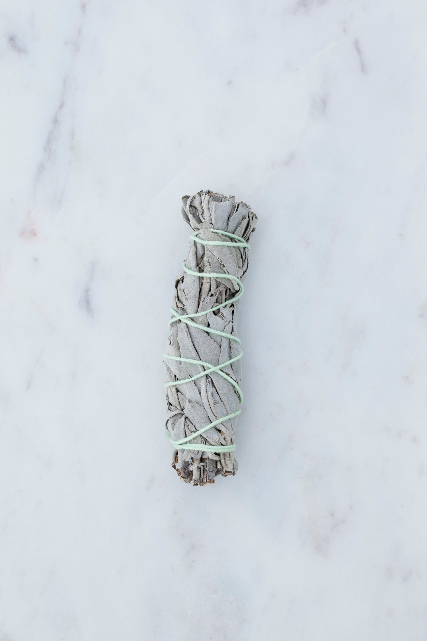 Image of Small White Sage