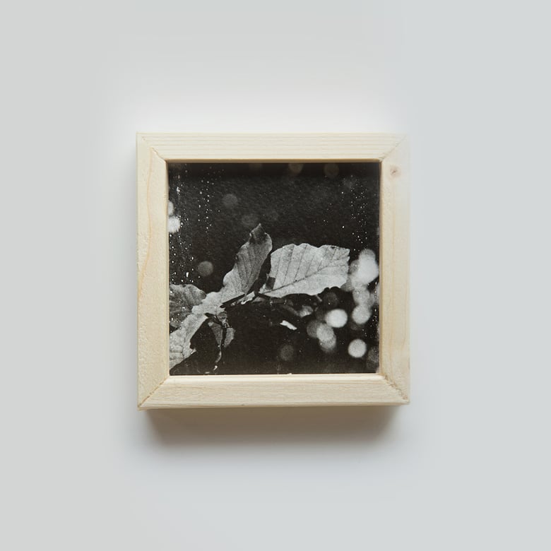 Image of Photographic emulsion in wooden frame ©Fattammmano
