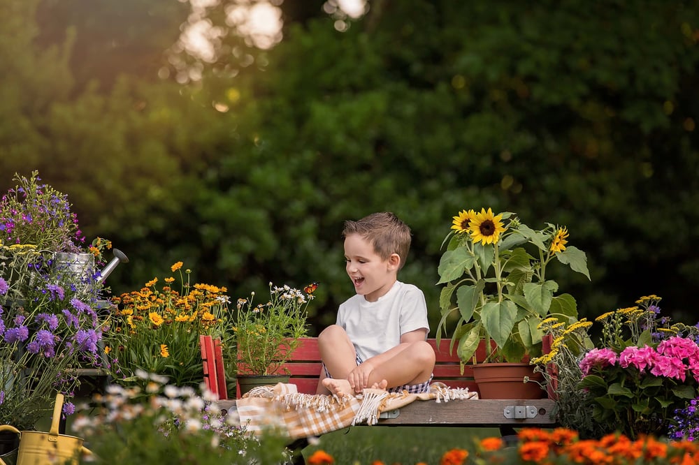 Image of Flower Mini Session