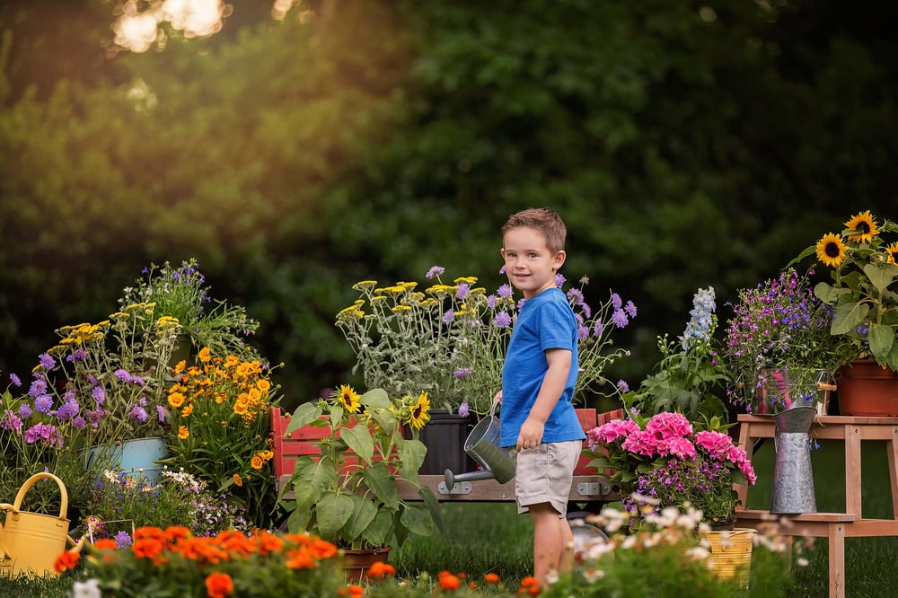 Image of Flower Mini Session