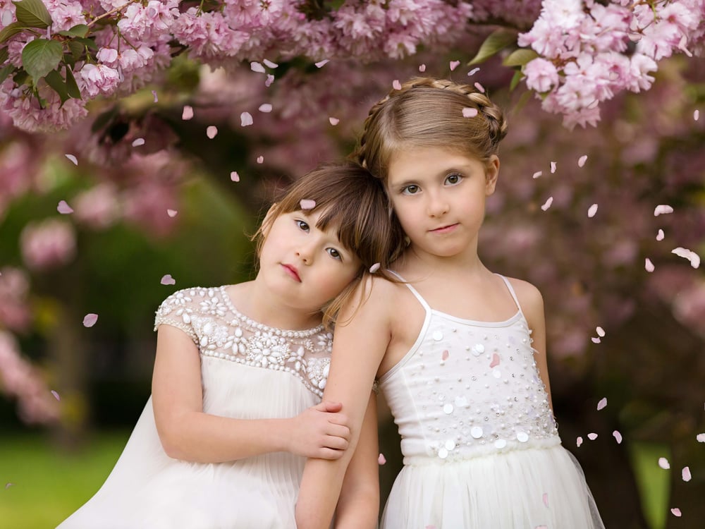 Image of Cherry Blossom Mini Session