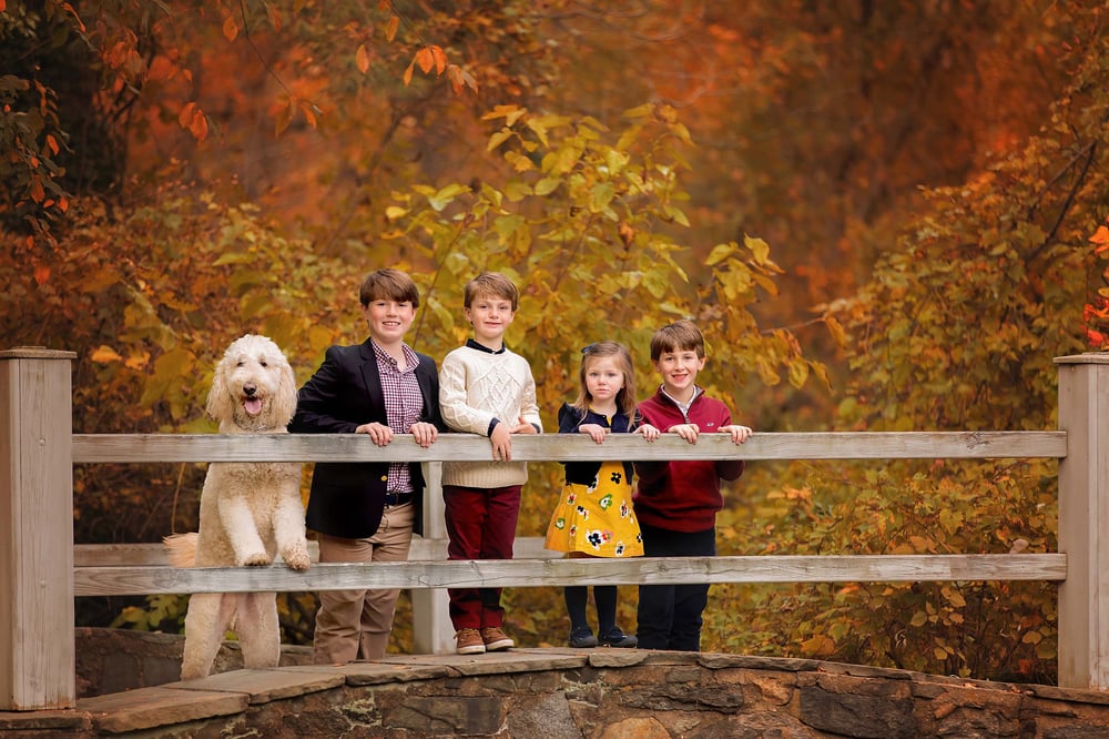 Image of Fall Mini Session