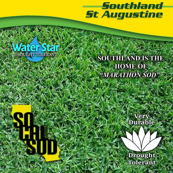 Image of SOUTHLAND ST. AUGUSTINE