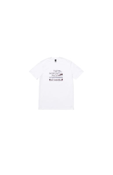 Image of SUPREME THE NORTH FACE METALLIC LOGO