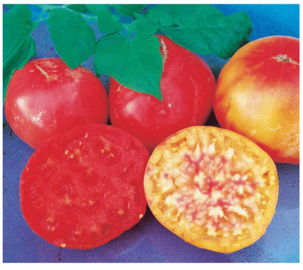 Image of Mr. Stripey – Heirloom Tomato