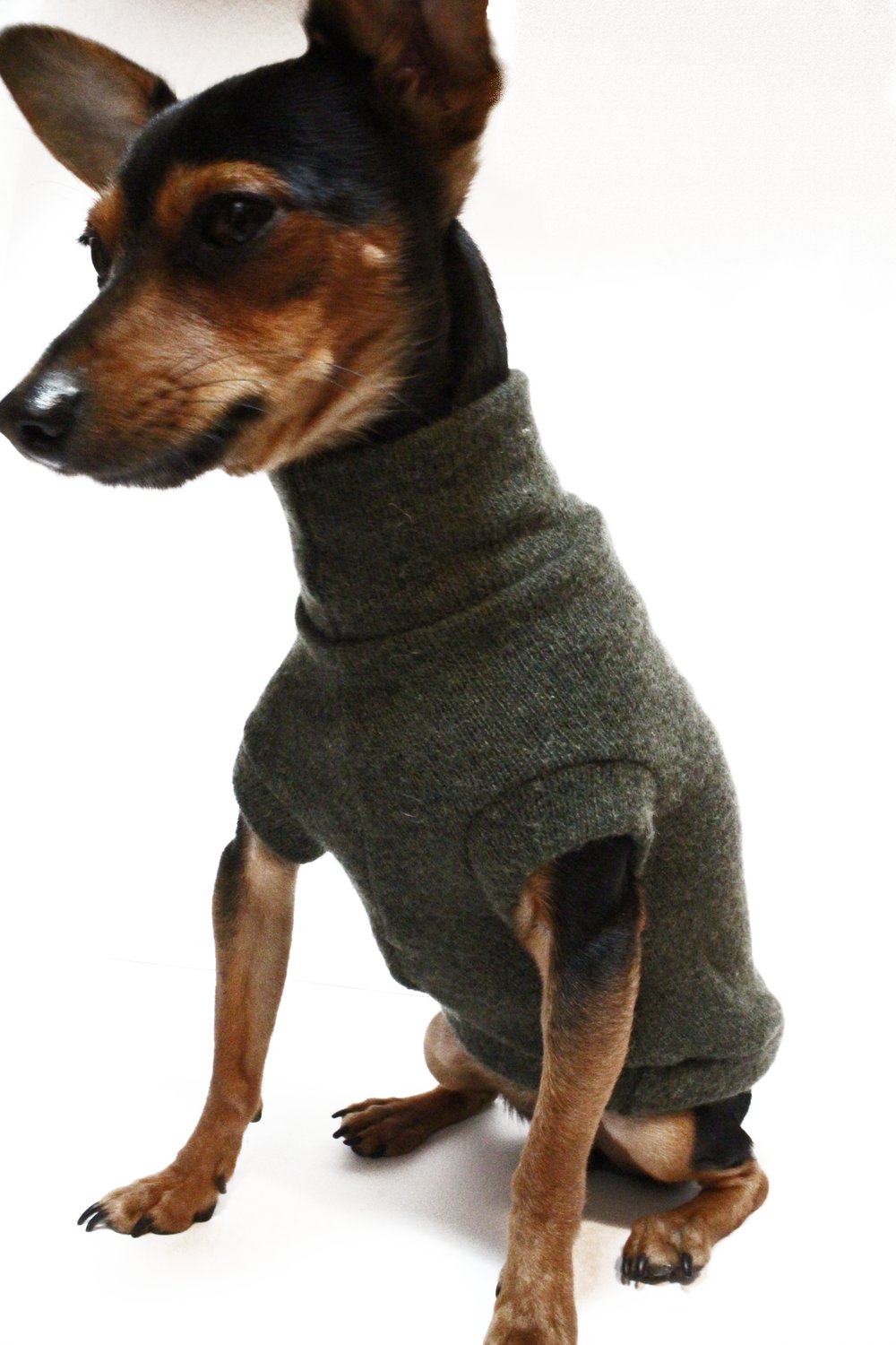 Image of JERSEY WINTER 15€