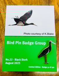 Image 1 of Black Stork - No.22 - Bird Pin Group Series