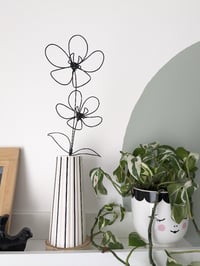 Image 6 of Duo de marguerites