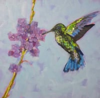 Hummingbird   12x12