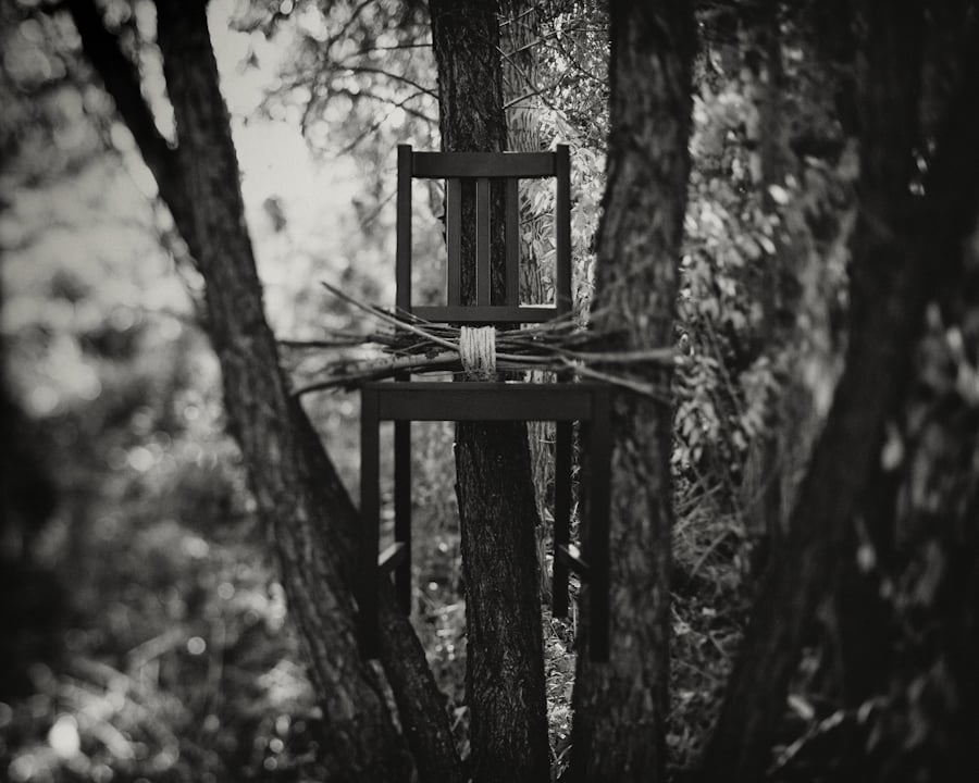 Image of Last in the Woods, Chair