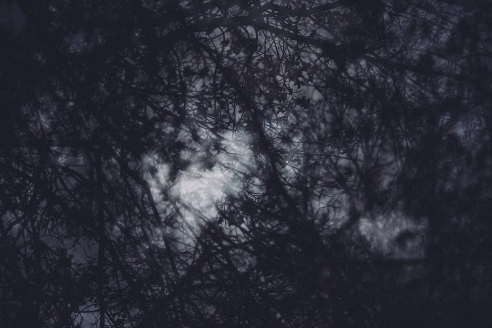 Image of we lay hidden underneath the caliginous sky