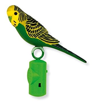 Image of PARROT 1
