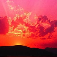 Image 5 of Warm Sunset Floral Brooch