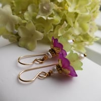 Image 2 of Violet Belle Flowers