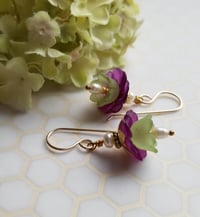 Image 3 of Violet Belle Flowers