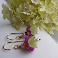 Image 5 of Violet Belle Flowers