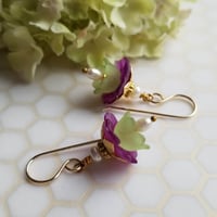 Image 4 of Violet Belle Flowers