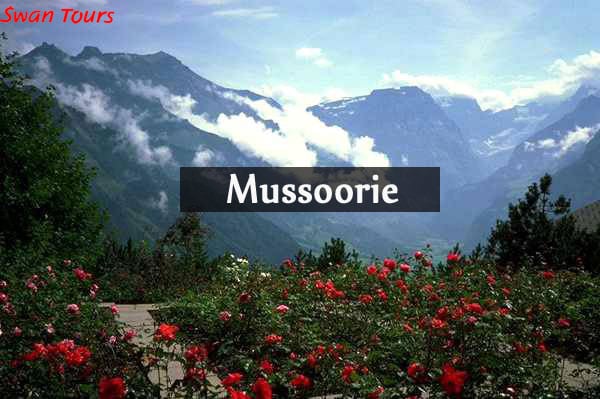 Image of Why We Love Mussoorie Trip (And You Should, Too!)