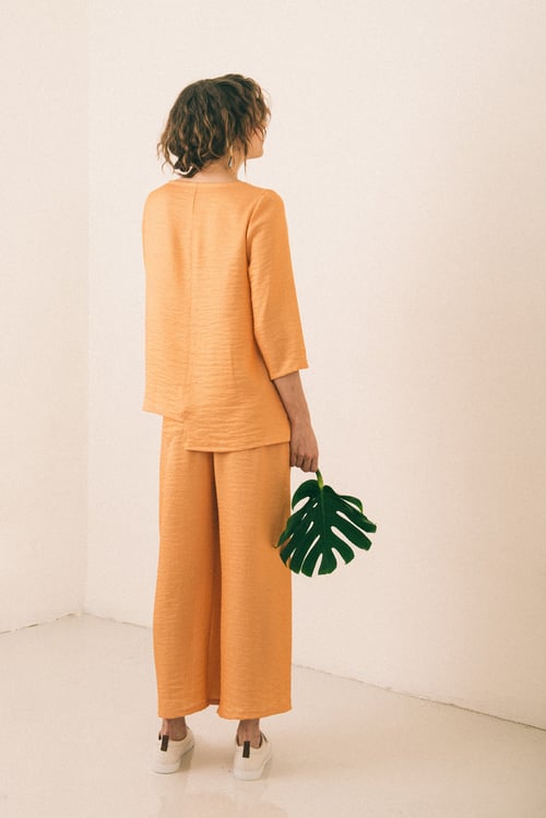Image of Blouse step salmon