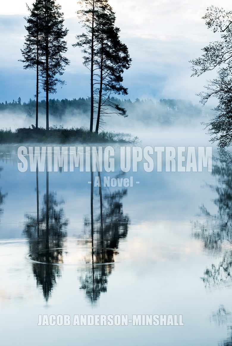 Image of Swimming Upstream