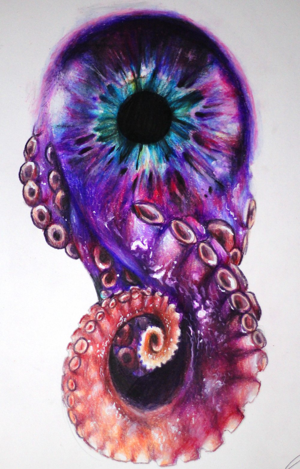 Image of Octopus Iris