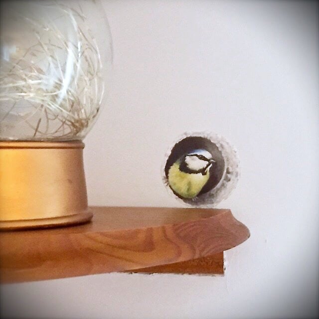 Image of Bessie Blue tit in wall ~ Removable Wall sticker