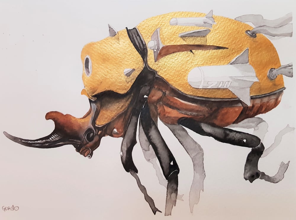 Image of Beetle
