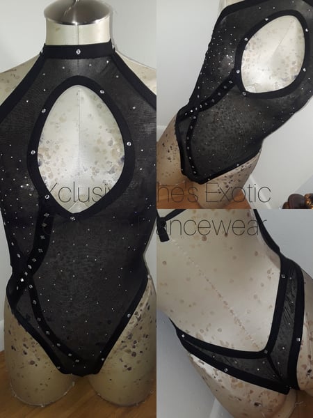 Image of Exotic Dancewear One Pcs
